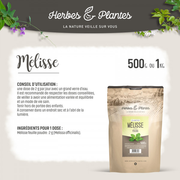 Mélisse - Poudre 1 kg