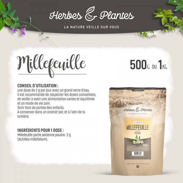 Millefeuille - Poudre 1 kg