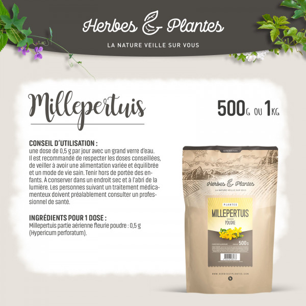 Millepertuis - Poudre 1 kg