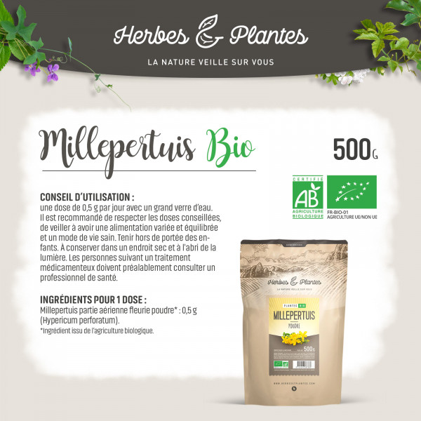 Millepertuis Bio en poudre - 500gr