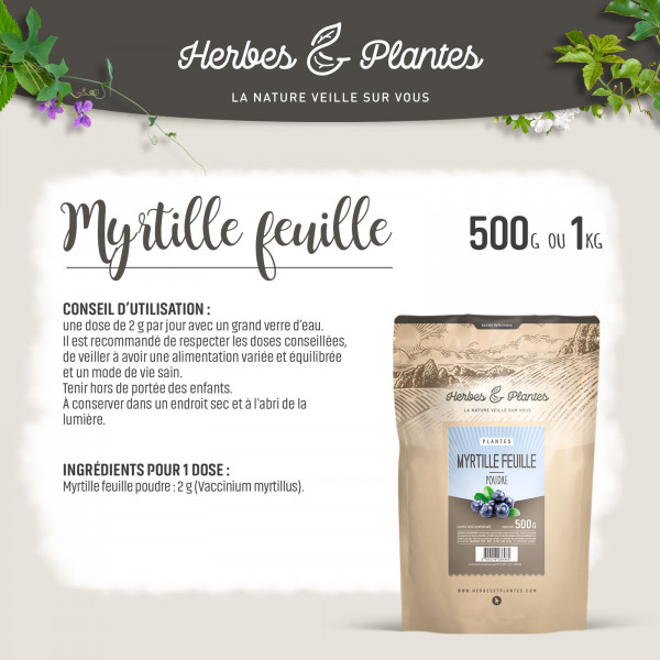 Poudre de Myrtille 1 kg