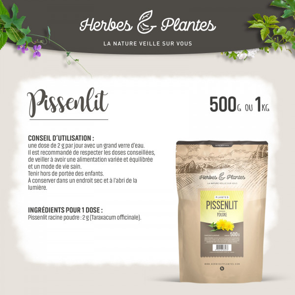 Pissenlit - Poudre 1 kg