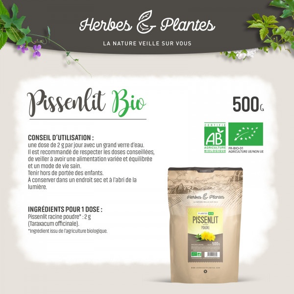 Pissenlit Bio 500 g poudre