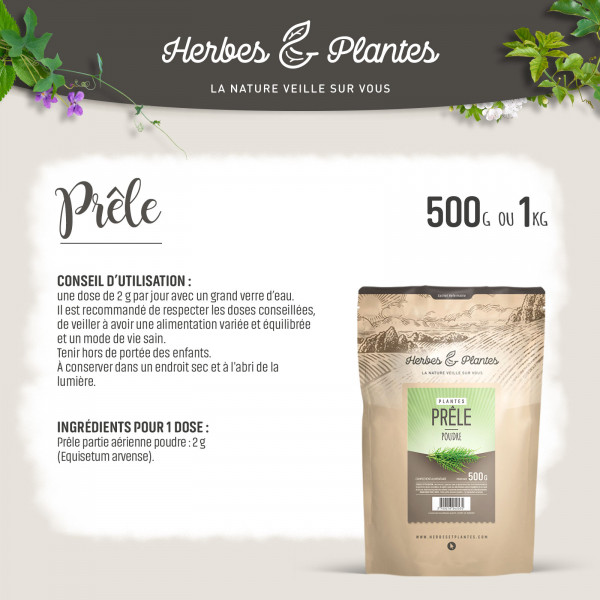 Prêle - 1 Kg de poudre