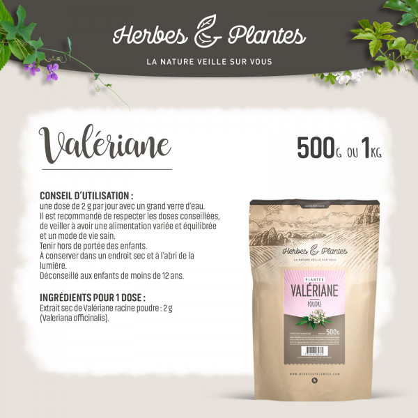 Valériane - Poudre 1 kg
