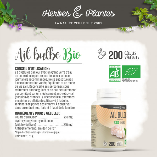 Ail bulbe Bio - 280 mg - Gélules végétales - H&P