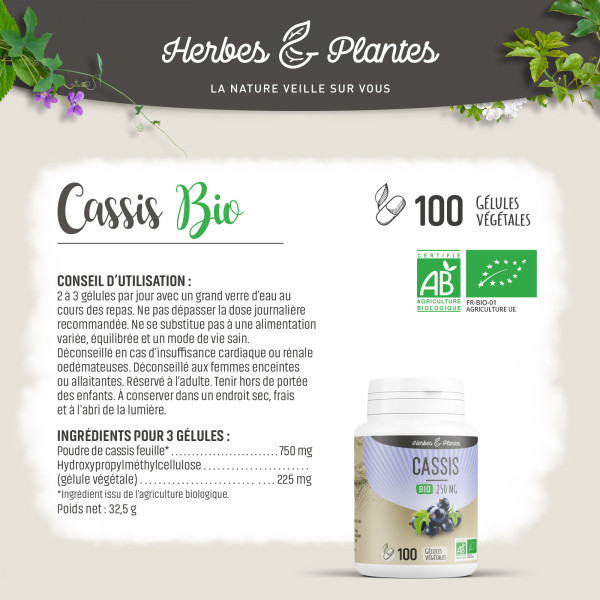 Cassis Bio - 250 mg - Gélules végétales