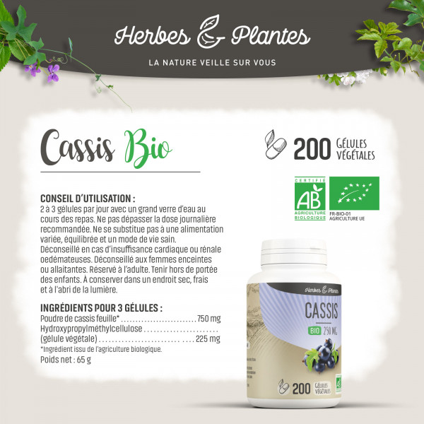 Cassis Bio - 250 mg - Gélules végétales