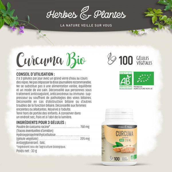 Curcuma Bio - 250 mg - Gélules végétales