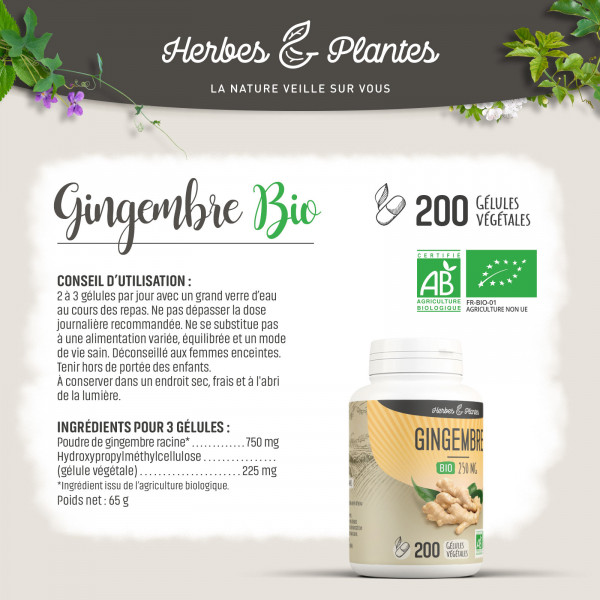 Gingembre Bio - 250 mg - Gélules végétales