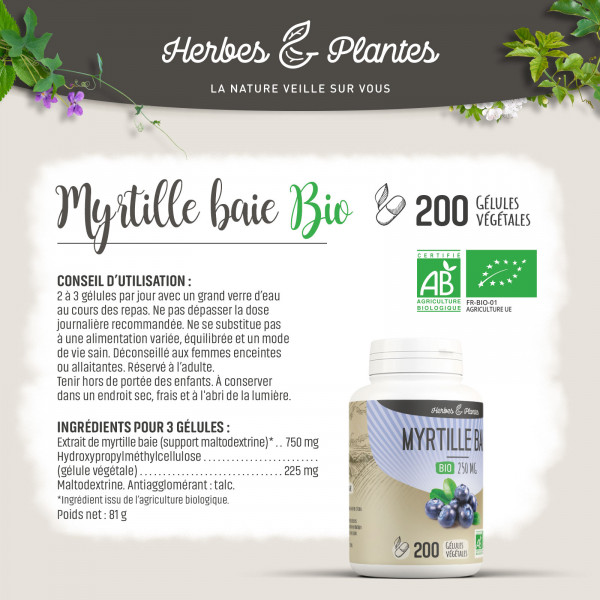 Myrtille baie Bio - 250 mg - Gélules végétales