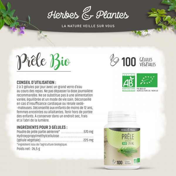 Prêle Bio - 190 mg - Gélules végétales
