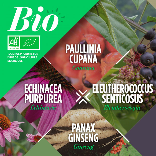 Comprimés Bio - Tonic 200