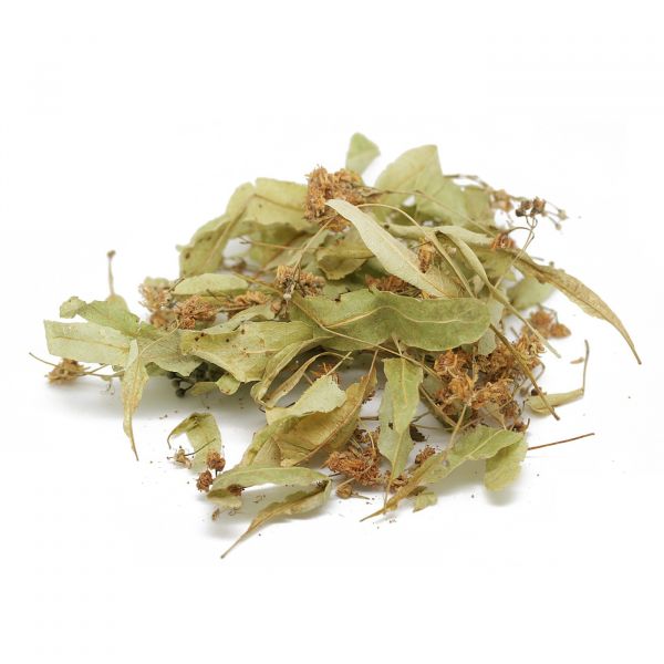 Tisane de tilleul bractée