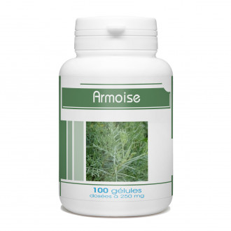 Armoise - 250 mg - 100 gélules
