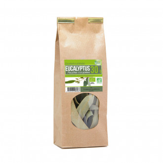 Tisane d'eucalyptus
