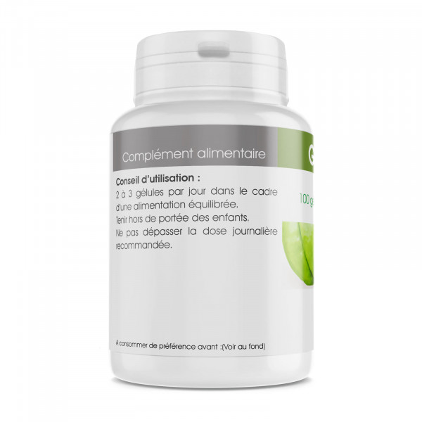 Garcinia Cambogia - 250 mg - 100 gélules