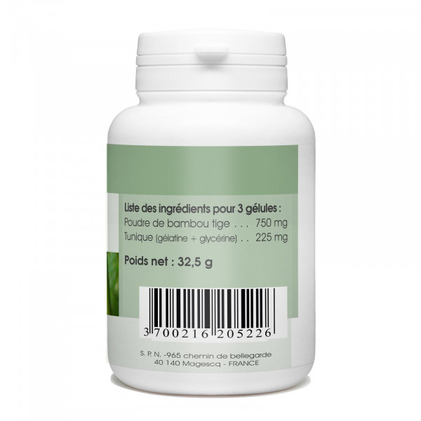 Bambou Tabachir - 250mg- 100 gélules