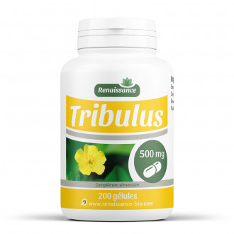 Tribulus Terrestris - 500 mg - 200 gélules