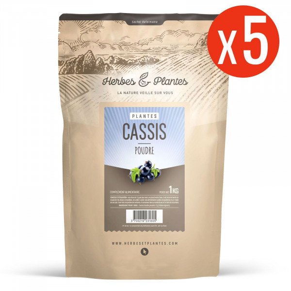Cassis feuille - 5 Kg de poudre