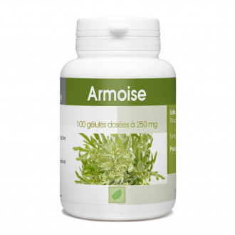 Armoise - 250 mg - 100 gélules