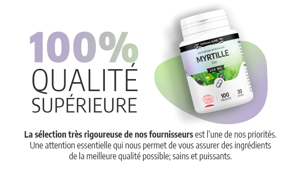 Myrtille BIO 250g - Pourdebon