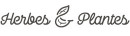 Echinacea Bio de la marque Herbes et Plantes