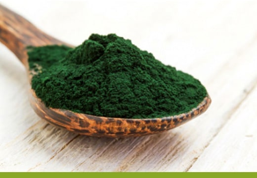 Qu’y-a-t-il dans la spiruline